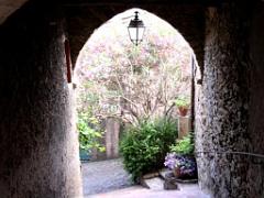 183 D25 BORMES LES MIMOSAS 3_000002